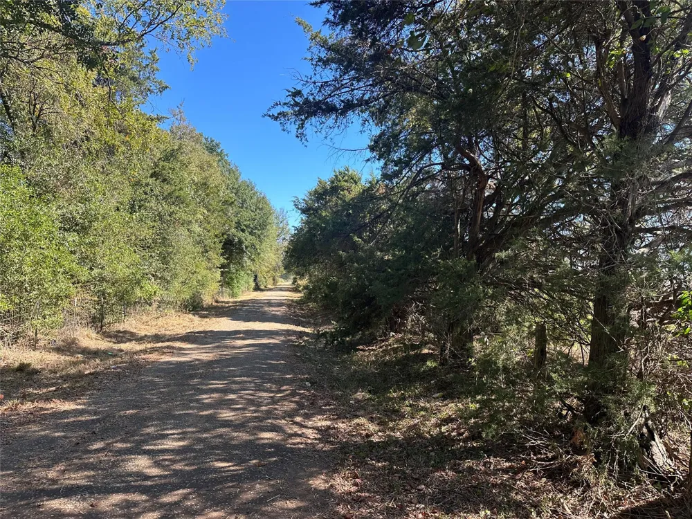 9 Us-79 Oakwood, TX 75855