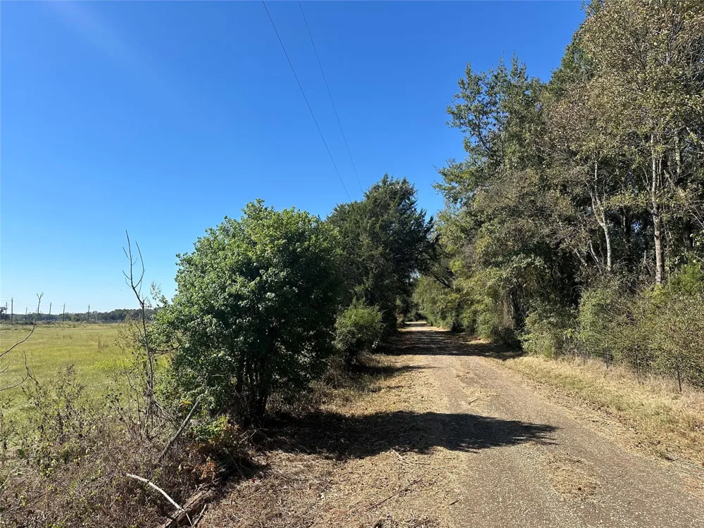 9 Us-79 Oakwood, TX 75855