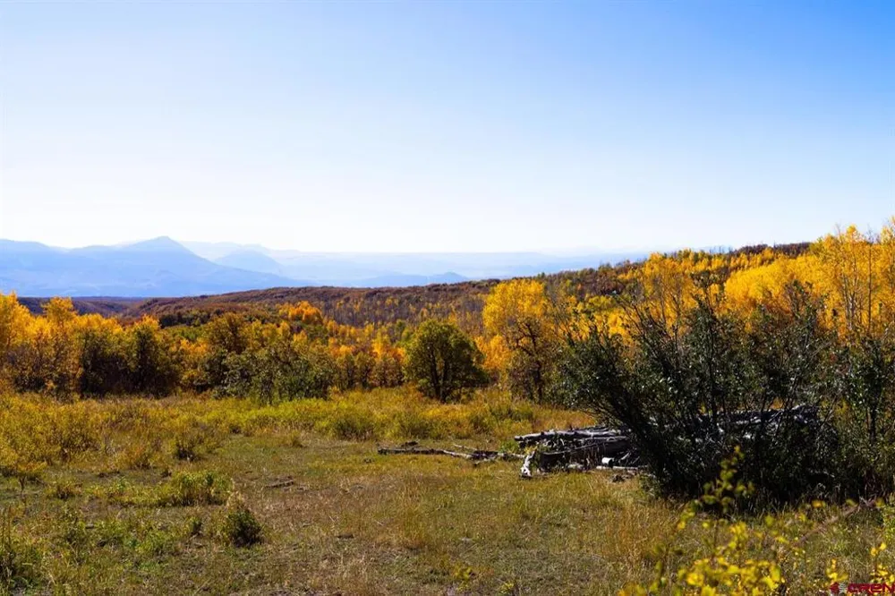 33339 Oak Mesa Road Hotchkiss, CO 81419