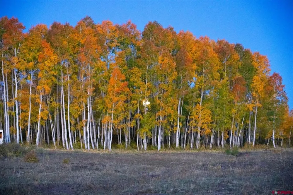 33339 Oak Mesa Road Hotchkiss, CO 81419