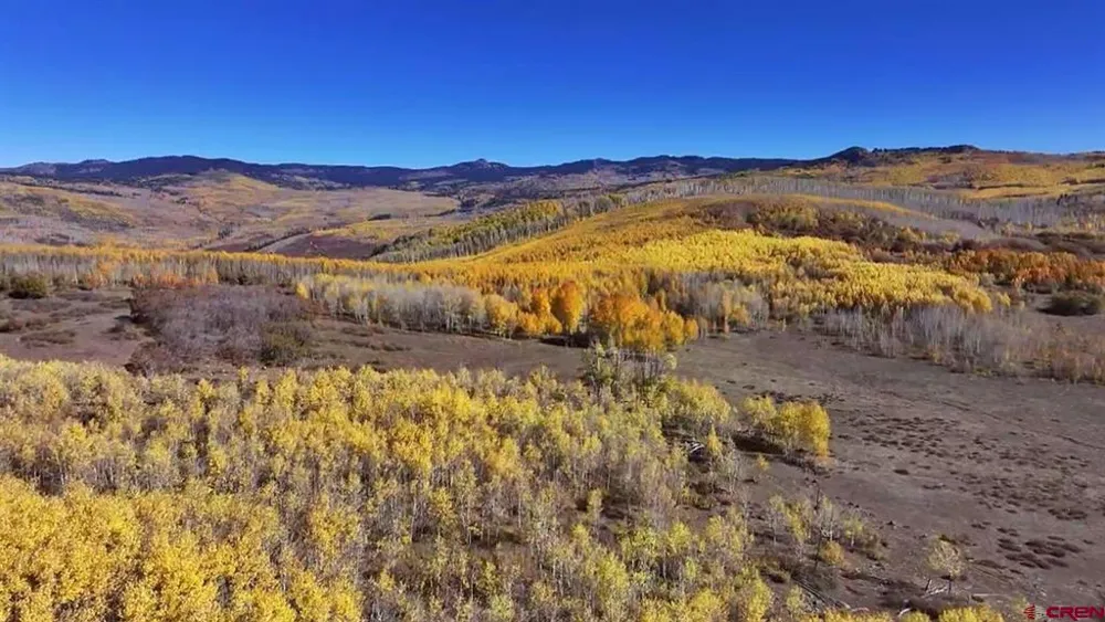 33339 Oak Mesa Road Hotchkiss, CO 81419