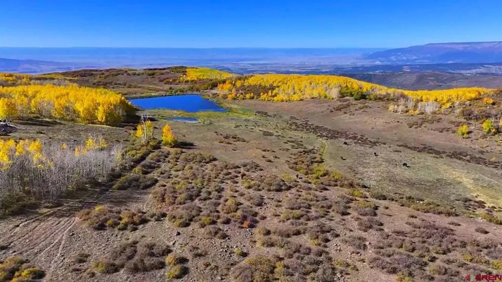 33339 Oak Mesa Road Hotchkiss, CO 81419