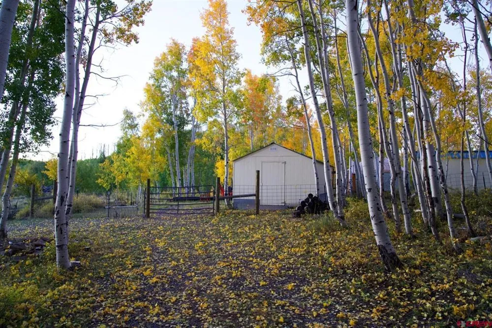 33339 Oak Mesa Road Hotchkiss, CO 81419