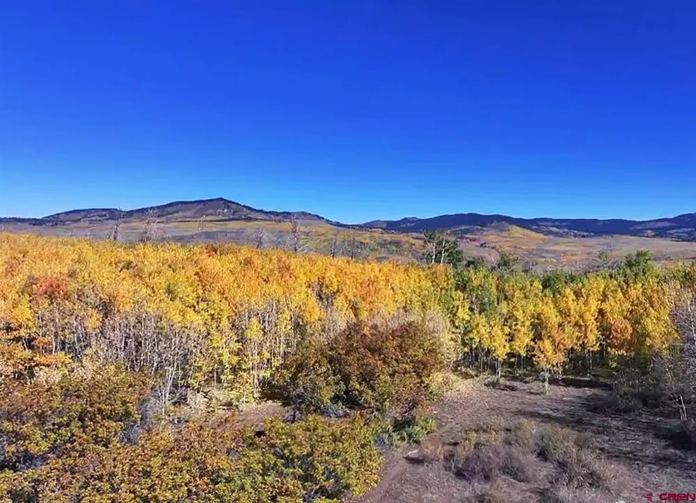 33339 Oak Mesa Road Hotchkiss, CO 81419