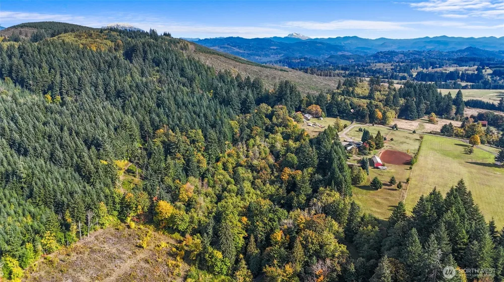 39812 94th Avenue La Center, WA 98629