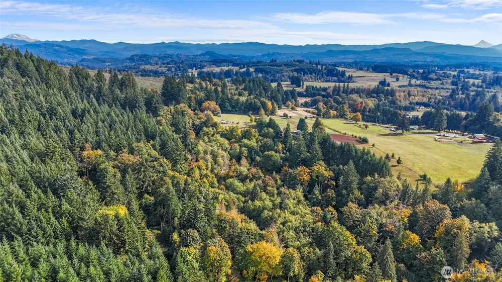 39812 94th Avenue La Center, WA 98629