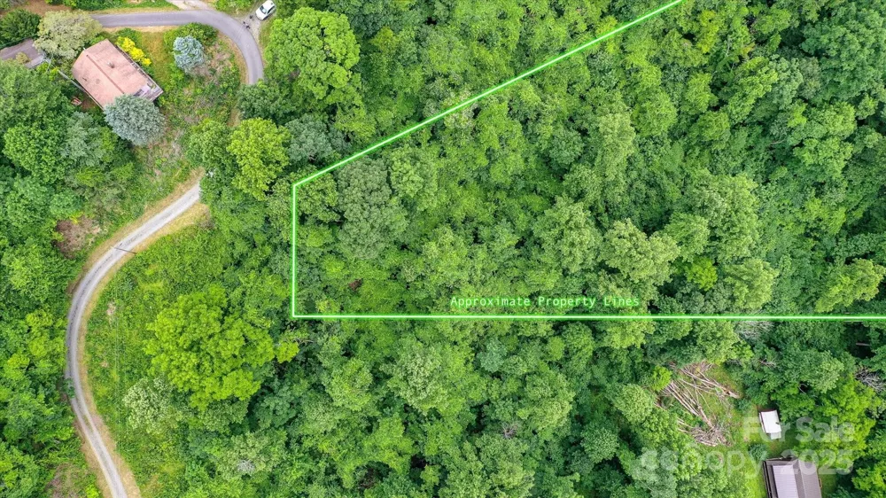99999 Secluded Valley Road Marshall, NC 28743