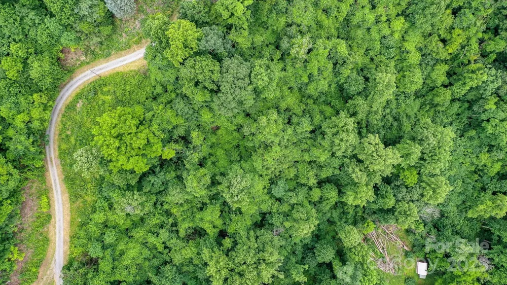 99999 Secluded Valley Road Marshall, NC 28743