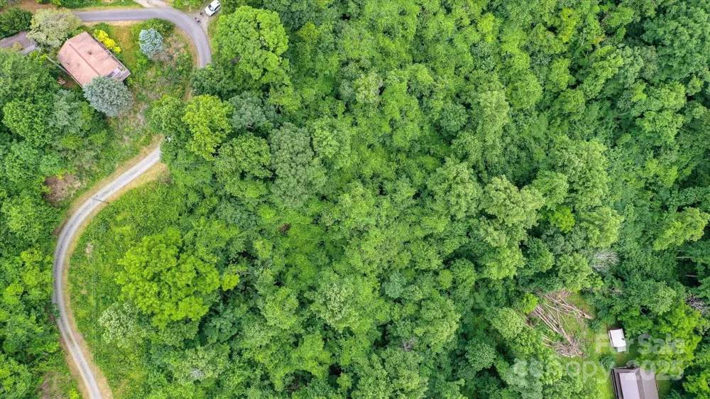99999 Secluded Valley Road Marshall, NC 28743