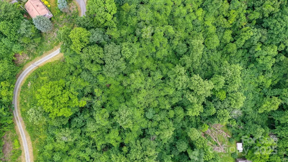 99999 Secluded Valley Road Marshall, NC 28743