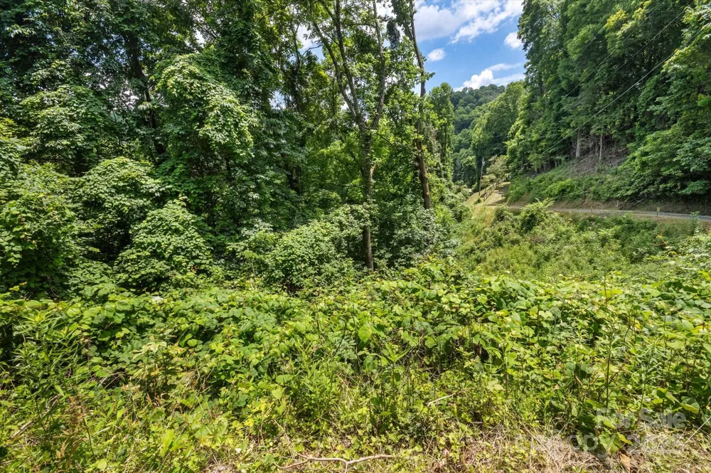 99999 Secluded Valley Road Marshall, NC 28743