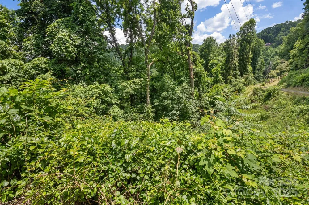 99999 Secluded Valley Road Marshall, NC 28743