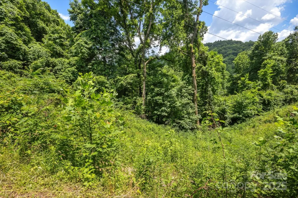 99999 Secluded Valley Road Marshall, NC 28743