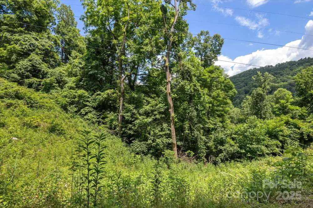 99999 Secluded Valley Road Marshall, NC 28743