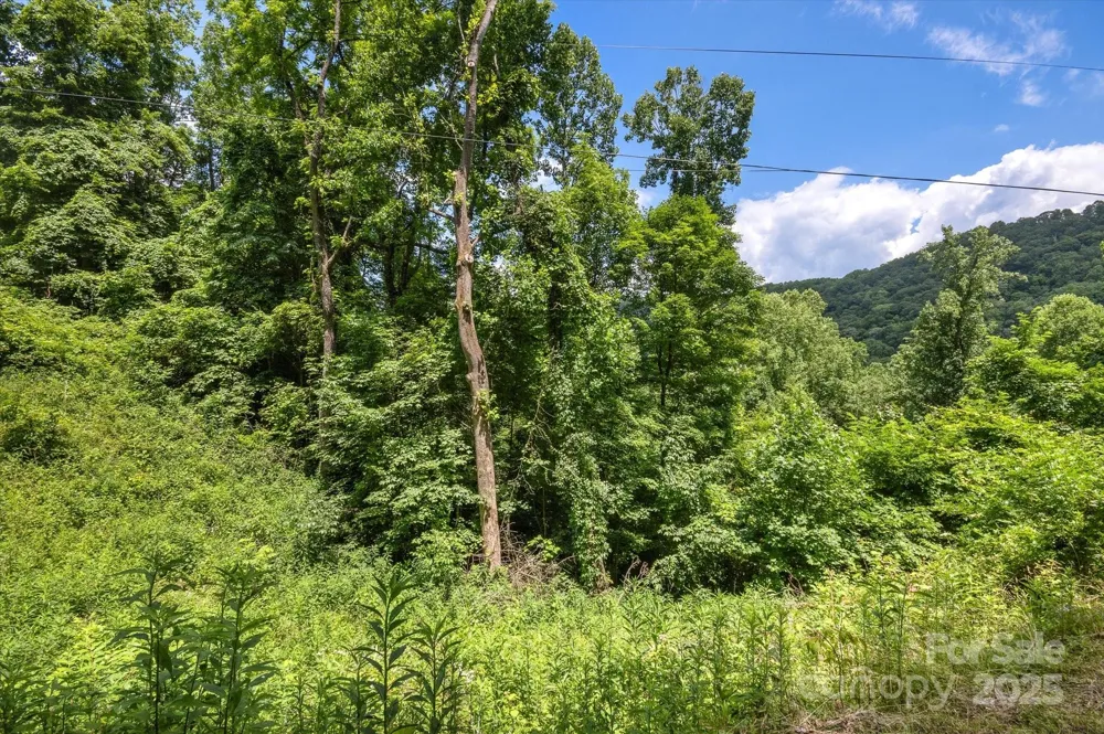 99999 Secluded Valley Road Marshall, NC 28743