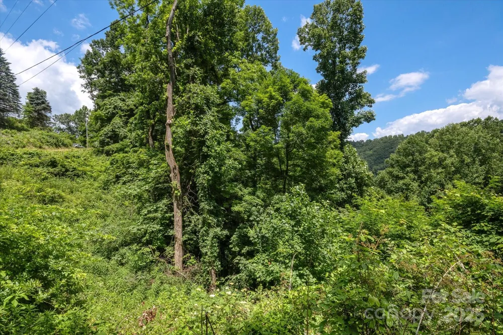99999 Secluded Valley Road Marshall, NC 28743