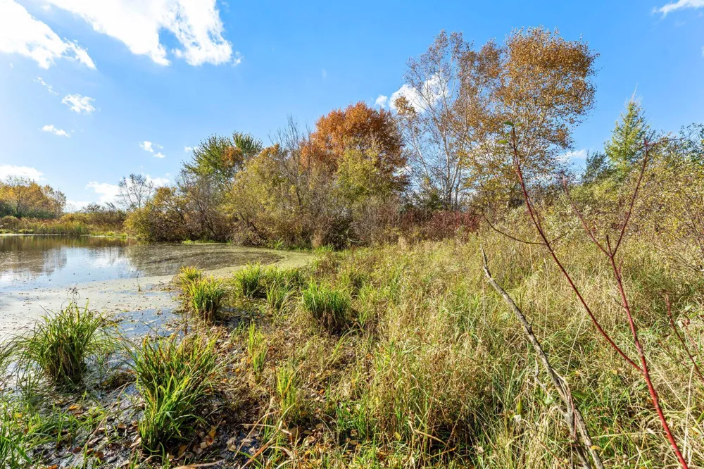 74xx 181st Avenue NW Nowthen, MN 55303