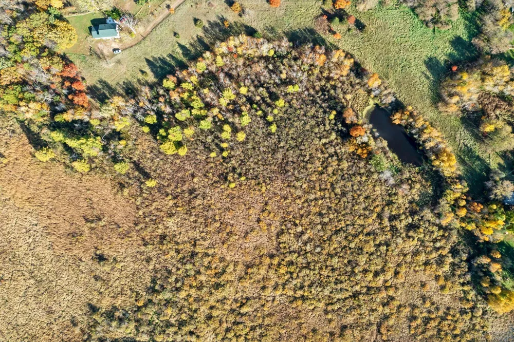 74xx 181st Avenue NW Nowthen, MN 55303