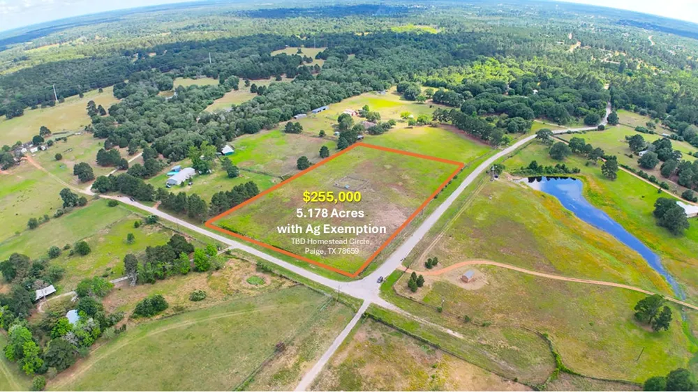 Homestead Circle Paige, TX 78659