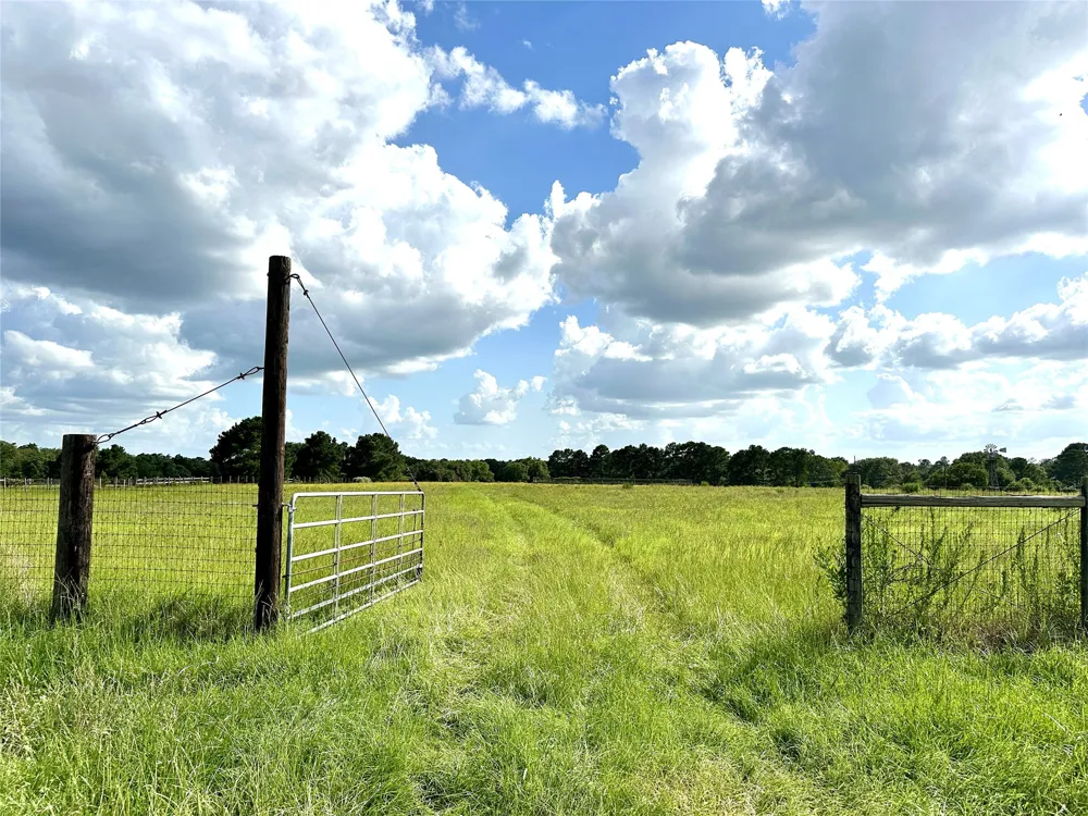 Homestead Circle Paige, TX 78659