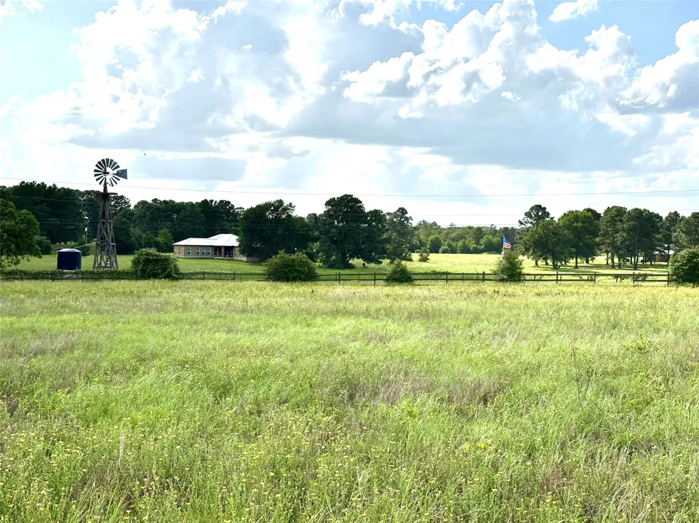 Homestead Circle Paige, TX 78659