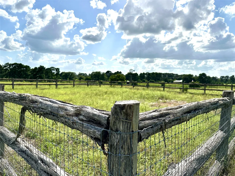 Homestead Circle Paige, TX 78659