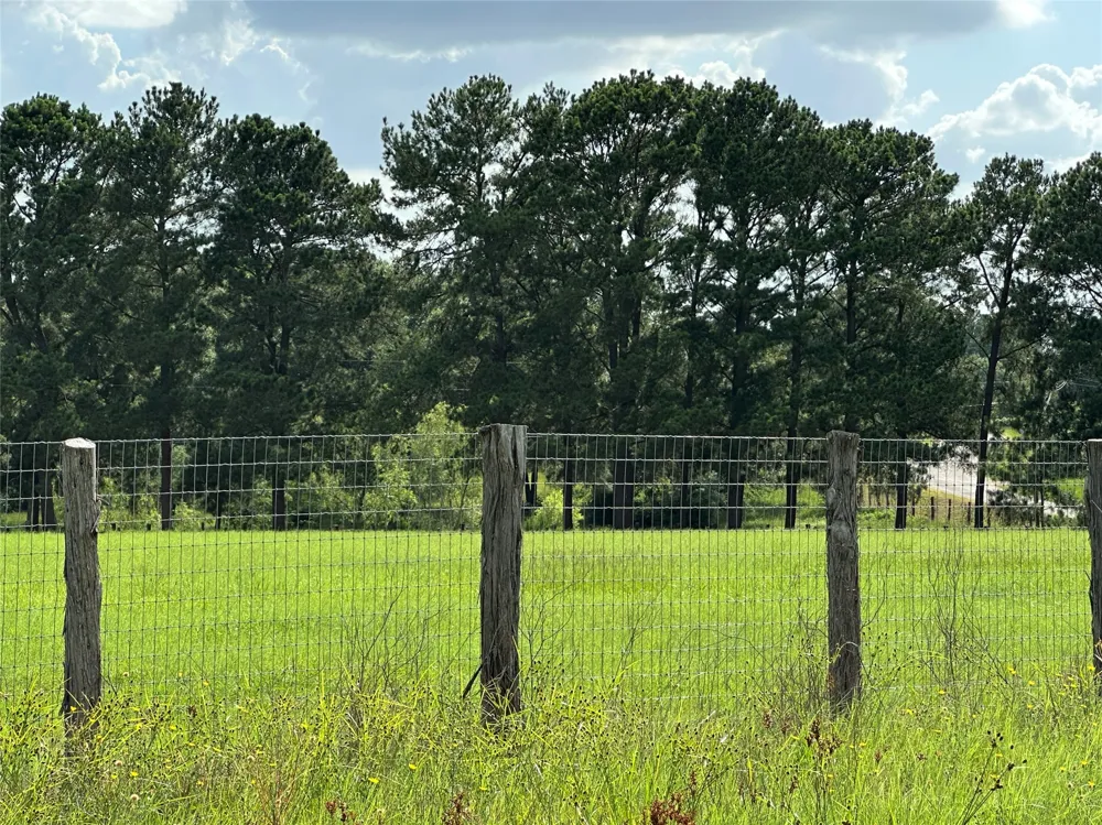 Homestead Circle Paige, TX 78659