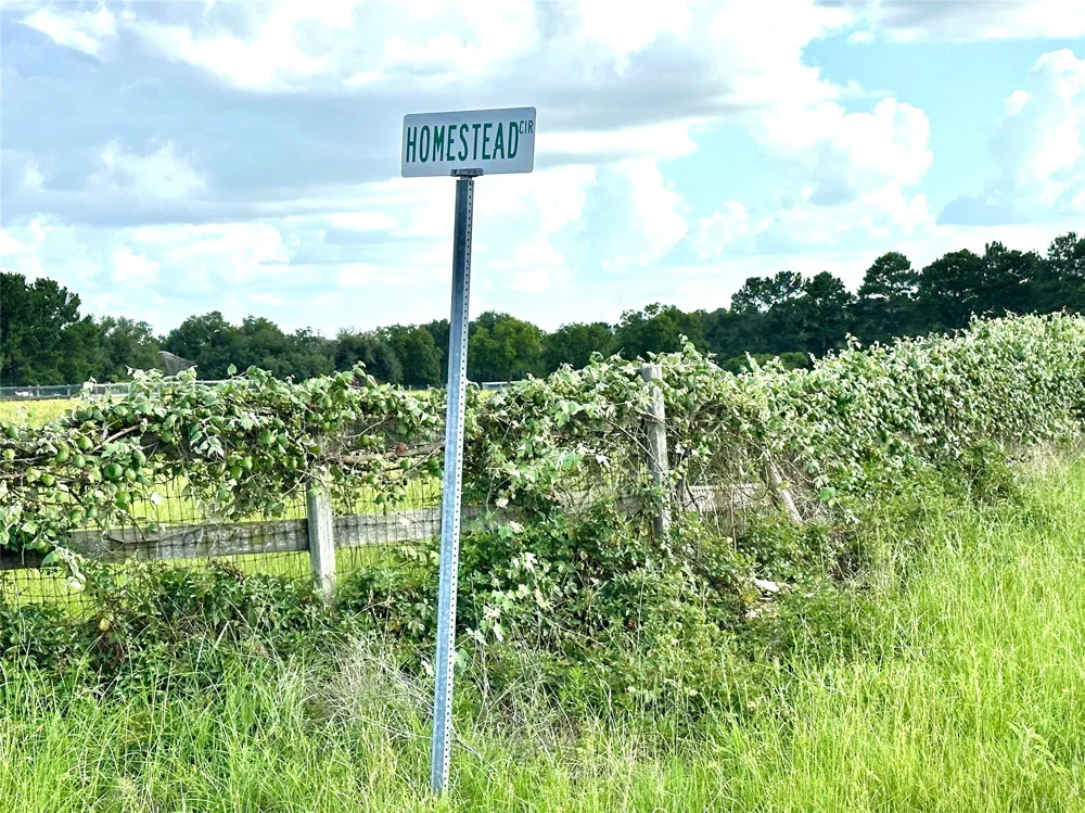 Homestead Circle Paige, TX 78659