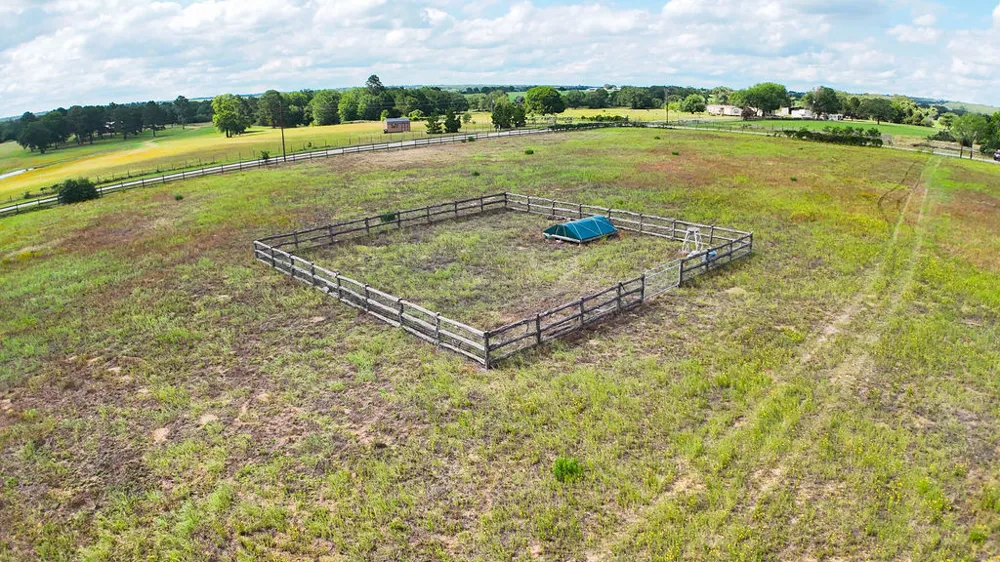 Homestead Circle Paige, TX 78659