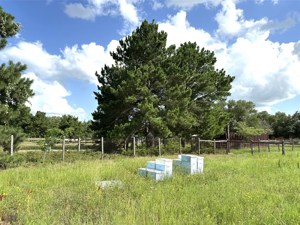 Homestead Circle Paige, TX 78659