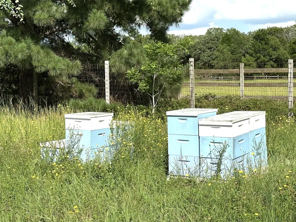 Homestead Circle Paige, TX 78659