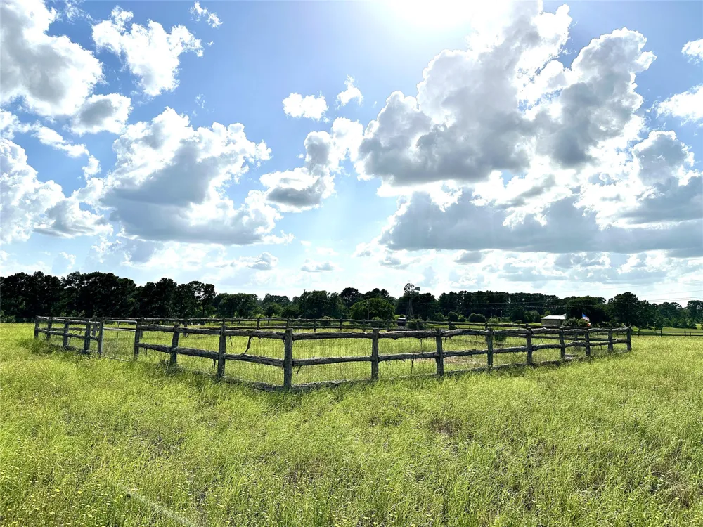 Homestead Circle Paige, TX 78659