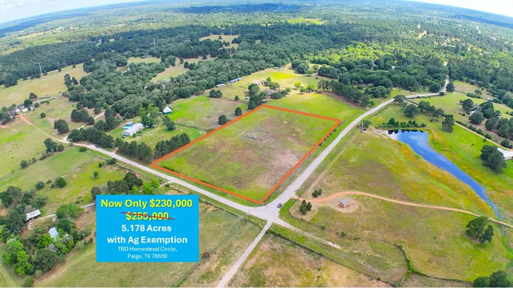 Homestead Circle Paige, TX 78659