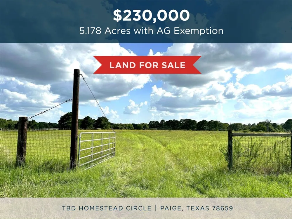 Homestead Circle Paige, TX 78659