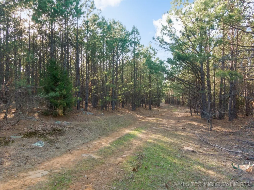 E 1860 ROAD Moyers, OK 74557