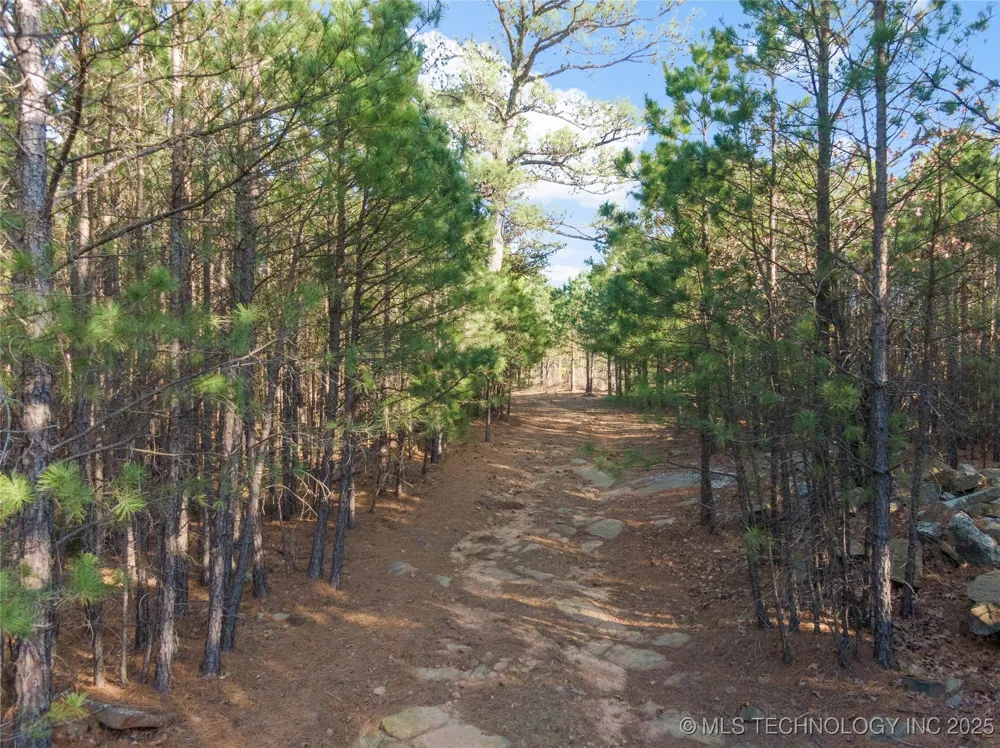 E 1860 ROAD Moyers, OK 74557