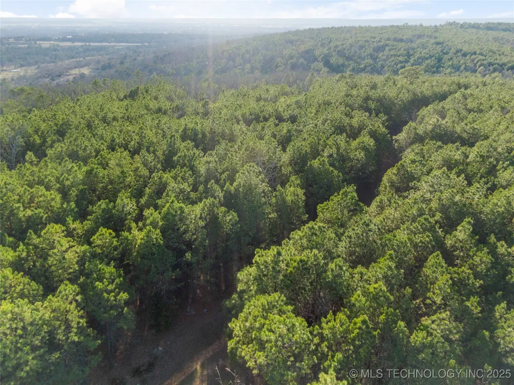 E 1860 ROAD Moyers, OK 74557