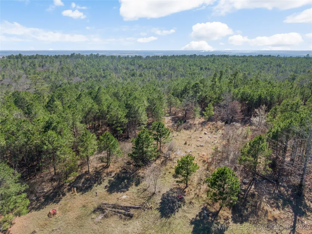 E 1860 ROAD Moyers, OK 74557