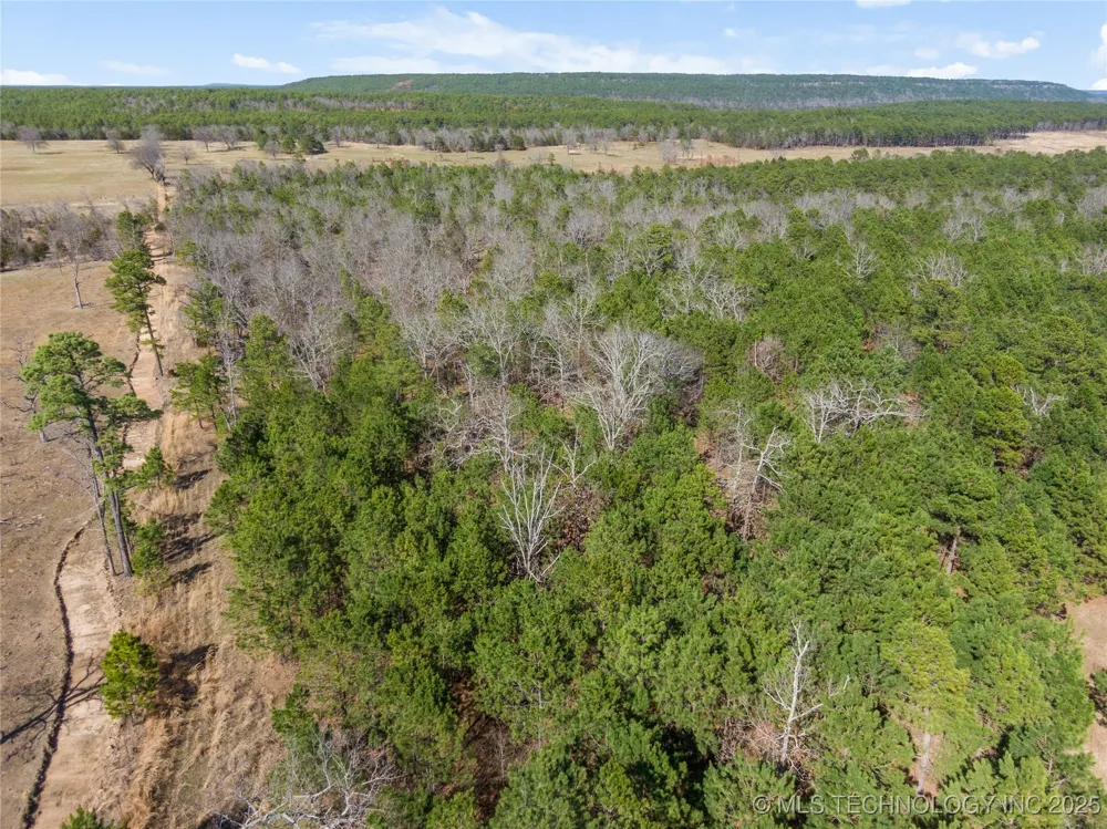 E 1860 ROAD Moyers, OK 74557