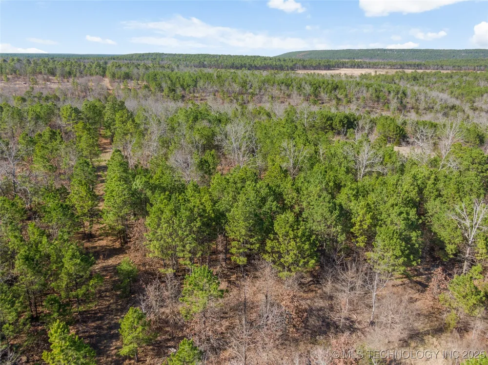 E 1860 ROAD Moyers, OK 74557