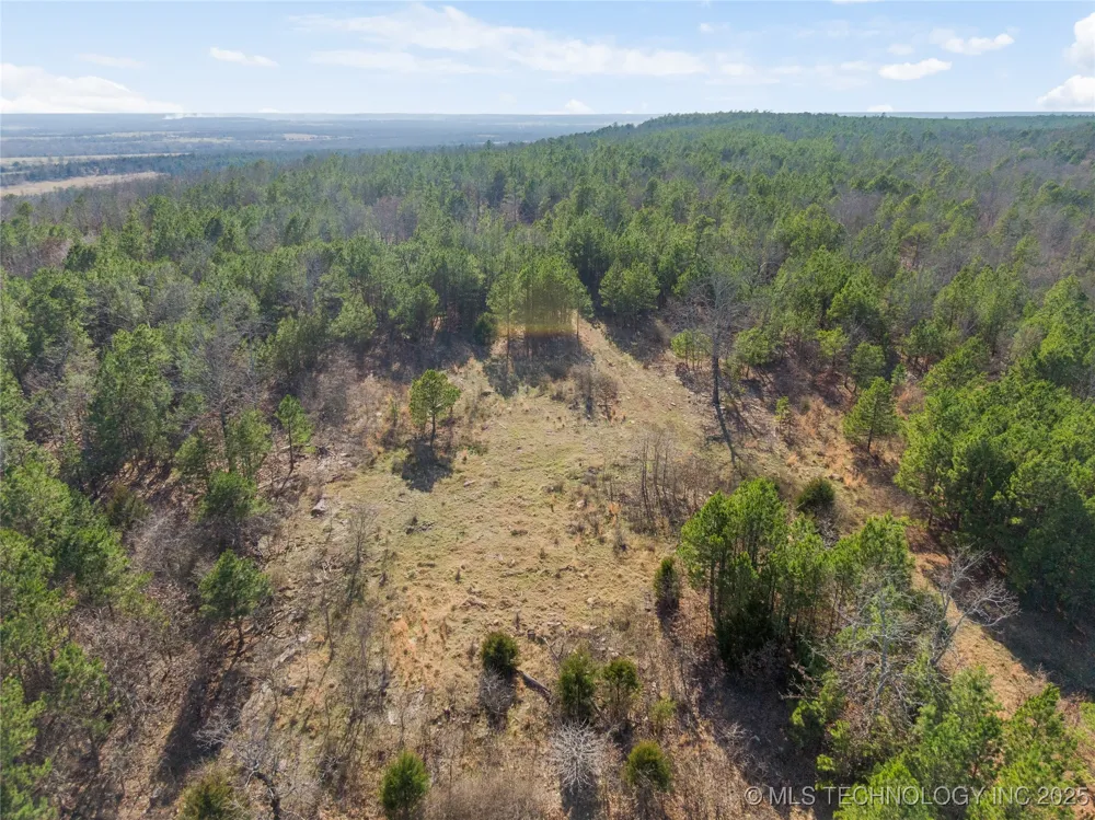 E 1860 ROAD Moyers, OK 74557