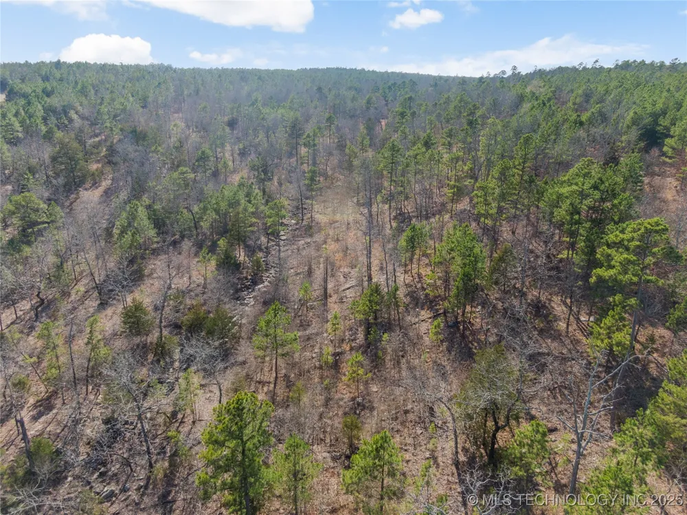 E 1860 ROAD Moyers, OK 74557