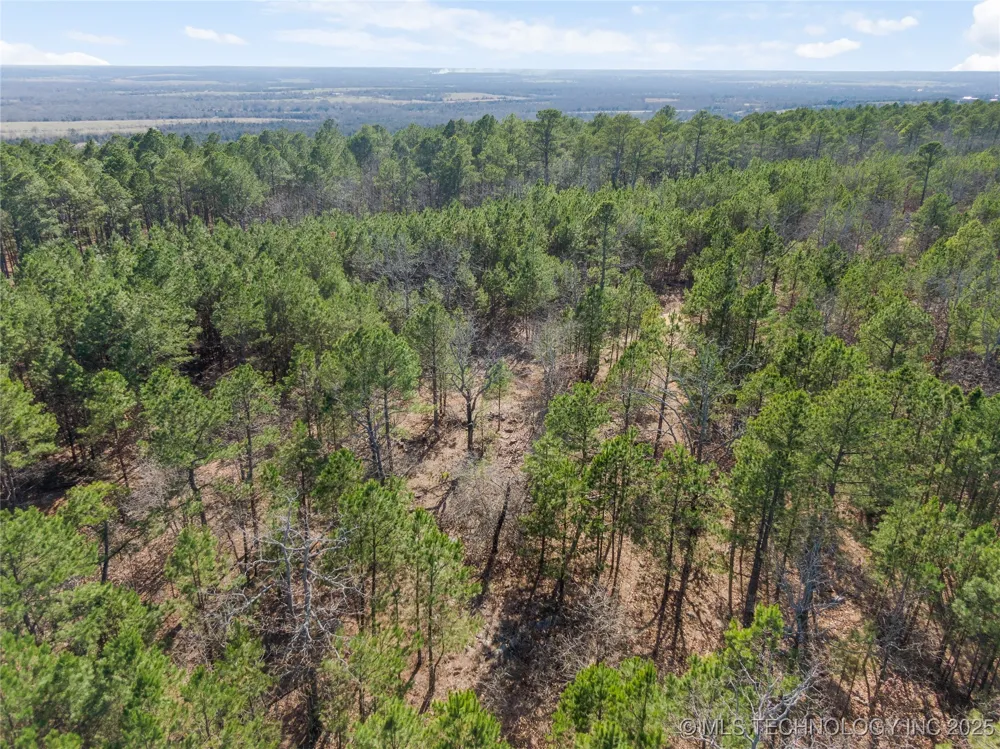E 1860 ROAD Moyers, OK 74557