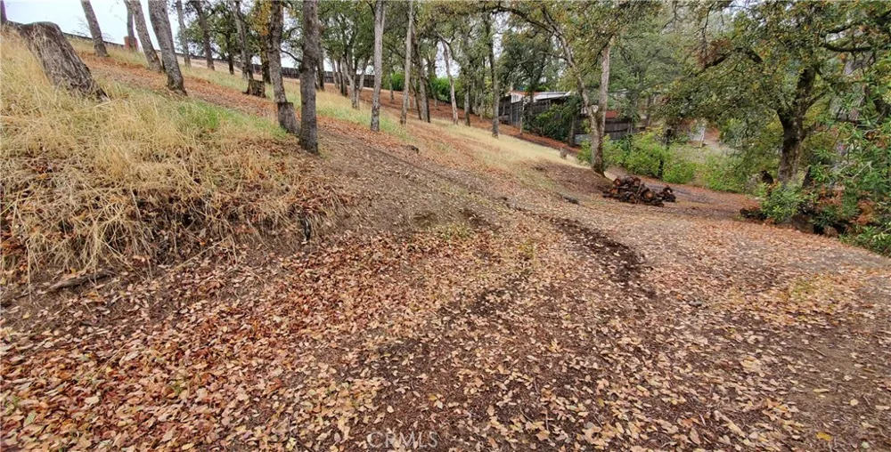 7126 Coyote Point Corning, CA 96021