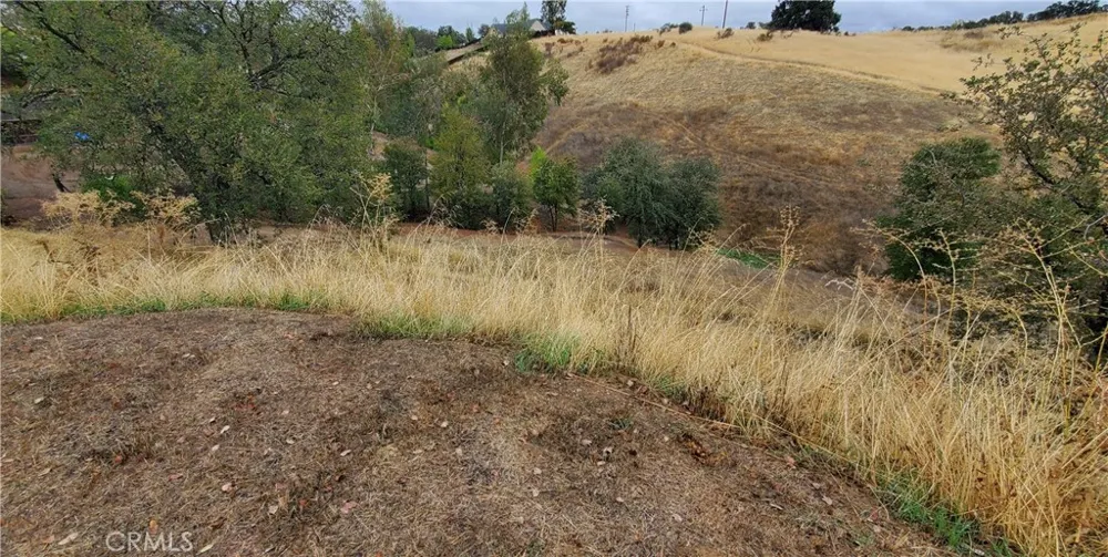 7126 Coyote Point Corning, CA 96021