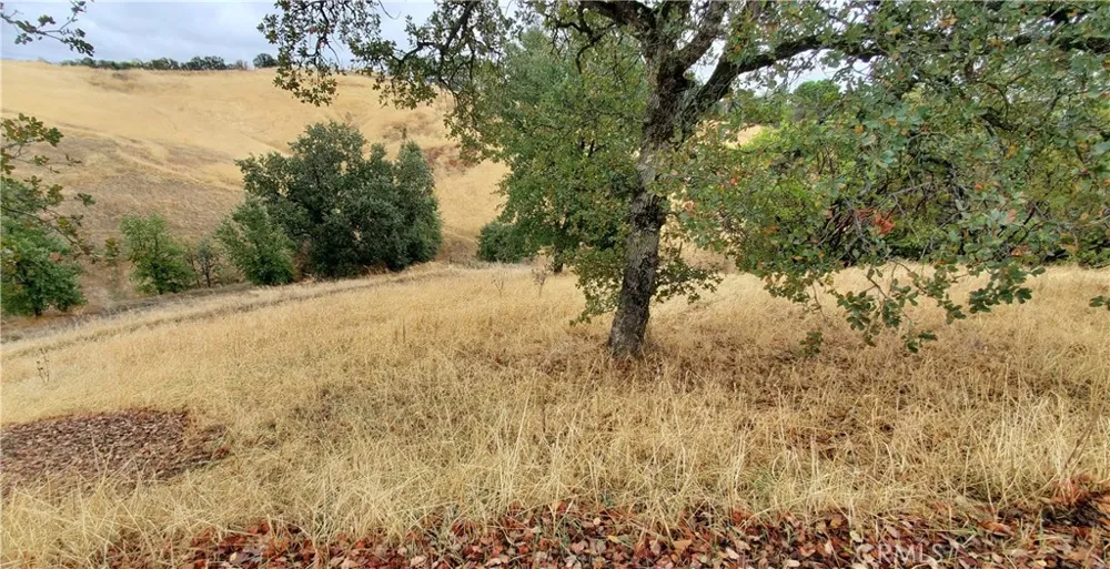 7126 Coyote Point Corning, CA 96021