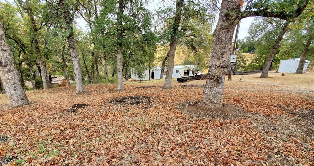 7126 Coyote Point Corning, CA 96021