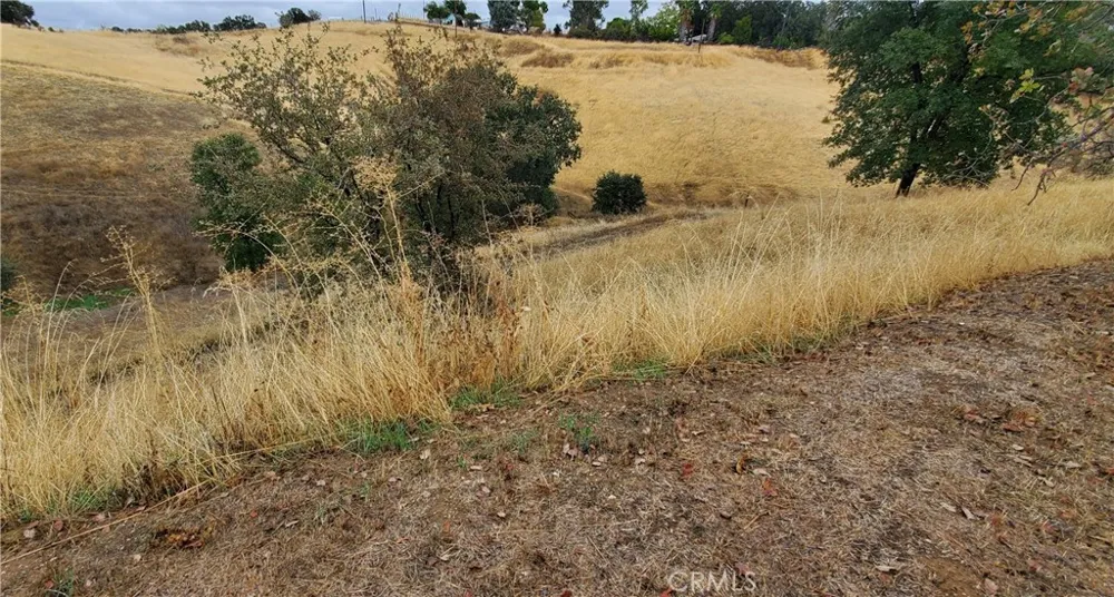 7126 Coyote Point Corning, CA 96021