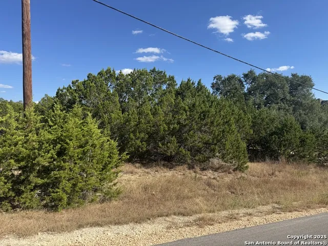 217 Breeze Pt Fischer, TX 78623