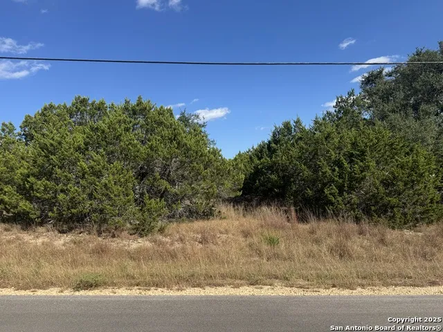 217 Breeze Pt Fischer, TX 78623